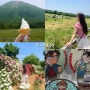 일본 소도시 여행 돗토리현 요나고 날씨 코난마을 코스 추천