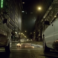 Snow Patrol : Chasing Cars (2006)[영상/소개/가사/해석]