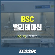 [TESSOL] BSC OQ·PQ 밸리데이션