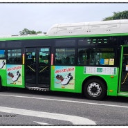 『[2024 서울/부천] 세풍운수 6614번 지선버스 (자일대우 NEW BS110 NGV/KBTM)』