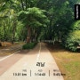 춘천 마라톤 풀코스 준비 - 호수공원 조깅 13km (5.30 목요일) 200km 달성!
