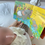 아기별 그림책 신생아 내돈내산 후기(야물야물 비교, 세이펜, 핫딜)