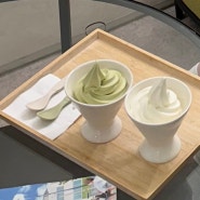 강릉에서 우유 아이스크림이 맛있는 곳 방배목장