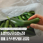 미니스낵오이추천 남안동 우성농장 스낵오이 공품 5kg 농장직송 오이피클 만들기