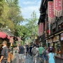 중국 청두여행 ‘콴자이샹즈(宽窄巷子)’ 구경거리, 기념품, 먹거리 추천