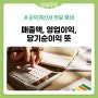 손익계산서에서 볼 수 있는 주요 용어(매출액,영업이익,당기순이익)