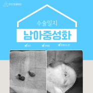 [부산 온천천 동물병원] 강아지 중성화수술, 고양이 중성화수술