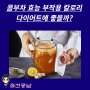 콤부차 효능 부작용 칼로리, 기본상식 정리