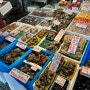 삿포로 니조시장 여행코스 갈만한곳 만족후기(맛집 타케에스시)