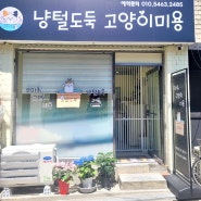 서울시 강서구 화곡동 고양이 미용실 냥털도둑 출입문 ㄱ자 방묘문 제작 설치