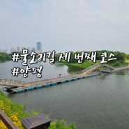 물소리길 세 번째 산책코스 남한강 주변 과 양강섬 걷기