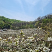 밭일 하고 나서