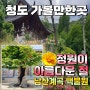 청도 볼거리 정원이 아름다운 가볼만한곳 백불원