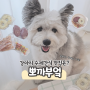 수원 강아지 수제간식점 뽀까부엌 애견간식 추천