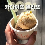 ❝ 대전 두바이 초콜릿, 젤라또 버전으로 ! 탄방동 카페 뮤트 MUTE ❞