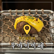 부산 해운대 맛집 '우마이미세' 해리단길 함박 주차팁