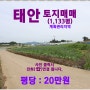 [태안 토지매매] 태안 태안읍 평천리 소재 / 1,133평, 계획관리지역, 농가주택 26평(미등기)1동, 건축물대장(有), 특용작물 재배지 추천