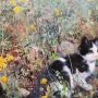 24년 일상 3 / 스웨덴 국립미술관 컬렉션 / 고양꽃박람회