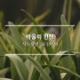 바울의 헌신 / 사도행전 14:19-28