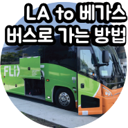 LA 애너하임에서 라스베가스 플릭스 버스로 가는 법 미국 뚜벅이여행