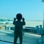 23개월 아기랑 치앙마이 인천공항 대한항공 비즈니스 후기