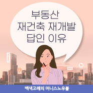 부동산 재건축 재개발 투자 - 미래 고밀화 시대의 투자 전략