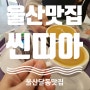 [울산 맛집] 울산달동카페, 디저트 맛집 씬띠아 추천드려요.
