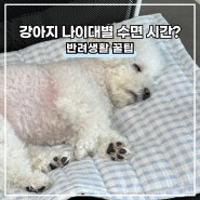 강아지 평균 수면 시간, 잠을 오래 자도 괜찮을까?