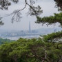 [2024.05] 아차산/용마산/뚝섬/자양/뚝섬 정원박람회