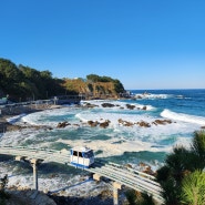 울진 여행 : 죽변 해안스카이레일 (모노레일, 요금, 온라인예약)