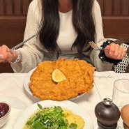 [오스트리아 빈 맛집] 비엔나 제일 오래된 슈니첼 맛집 피그뮐러 예약없이 방문