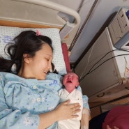 [23주~출산] 임신일기
