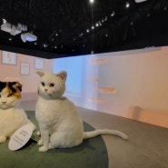 국립민속박물관 전시 / 요물 우리를 홀리는 고양이