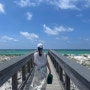 [데스틴 여행] 핸더슨 비치 주립공원 후기 플로리다 에메랄드빛 바다 하얀 모래사장