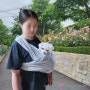 강아지포대기, 케어시스 강아지 슬링백 포대기 고양이 산책가방 이동 가방 숄더백