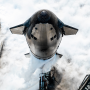 스페이스X의 차세대 우주선 '스타십(Starship)'의 4차 통합 비행 시험(IFT-4)이 6월 5일에 실시될 예정?!