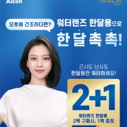 알콘 토탈30 월간용 렌즈 2+1