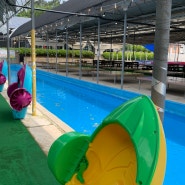 대전 근교 평상 수영장, 아이들이 물놀이 하기 좋은 논산 챌린지팜