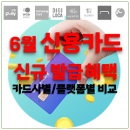 24년6월 신용카드 체크 신규발급 혜택 모음 카드테크