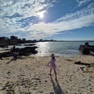 아이들 놀기 좋은 세화해변 언제와도 좋아요 제주도 예쁜 해변