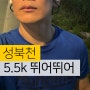 성북천 러닝 5.5km, 순토스포츠워치 마라톤 수영시계