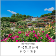 한국도로공사 전주수목원 장미 포토존