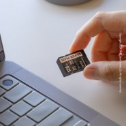 렉사 SD 카드 캐논 DSLR 850D 카메라 UHS-I 메모리카드 추천 스펙 보는 방법