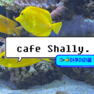 [수서/자곡동] 카페 쉘리 cafe shally: 수족관 카페