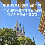 도쿄 디즈니랜드 꿀팁 40주년 기념 프라이오리티 패스(APP) 대상 어트랙션 사용방법 5단계 정리