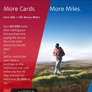 미국 신용카드 추천 : 미국-일본/한국 구간 바클레이 AA 카드