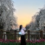 [4, 5월 일기] 벚꽃 날리던 4월과, 가정의 달 5월까지