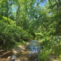 난지한강공원 유아숲놀이터 산책 초록물결! 제3주차장 근처