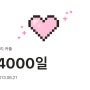 4000일🐻✨