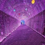 밀양 여행 아이와 가볼만한 곳 트윈터널 속 해저터널과 빛의 터널